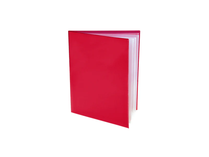 2-Pocket Folders (10ct) with Clear Outside Pockets and 4 Pages