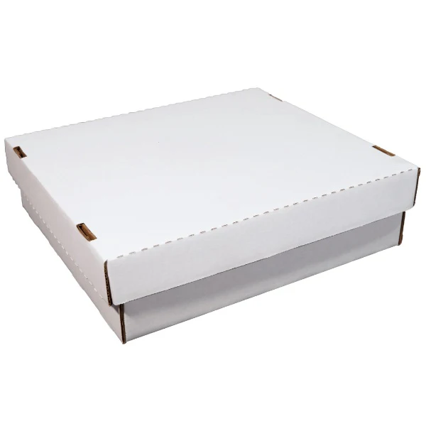 3200 Card Count Corrugated Boxes - 10 Pack - Image 2