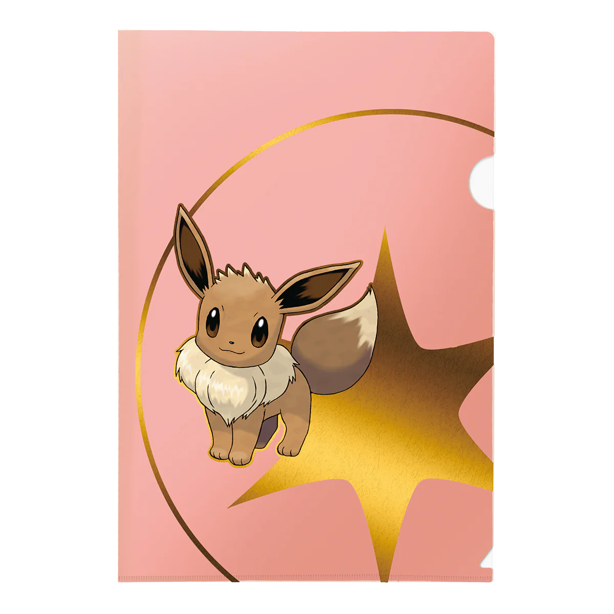 Pokémon Tournament Folios 3 Pack - Psyduck, Eevee, and Dragonite - Image 3