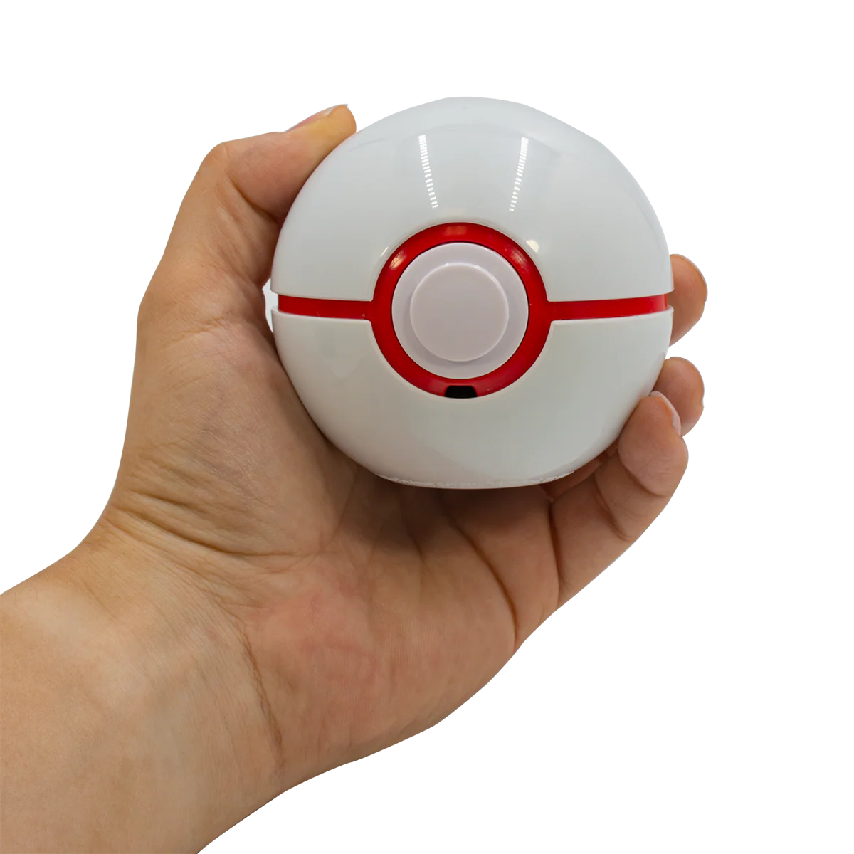 Pokémon Trainer Guess Sinnoh Edition - Image 4